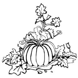 Dibujo Calabaza (Comida y Nutrición) #212154 para imprimir y colorear