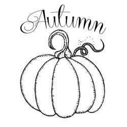 Dibujo Calabaza (Comida y Nutrición) #212155 para imprimir y colorear