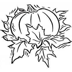 Dibujo Calabaza (Comida y Nutrición) #212158 para imprimir y colorear