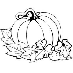 Dibujo Calabaza (Comida y Nutrición) #212171 para imprimir y colorear