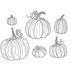 Dibujo Calabaza (Comida y Nutrición) #212180 para imprimir y colorear