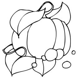 Dibujo Calabaza (Comida y Nutrición) #212187 para imprimir y colorear