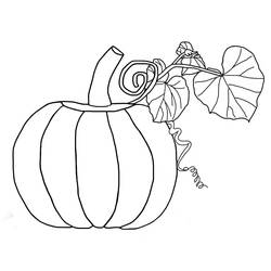 Dibujo Calabaza (Comida y Nutrición) #212189 para imprimir y colorear