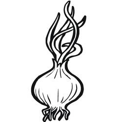 Dibujo para colorear: Cebolla (Comida y Nutrición) #186589 - Dibujos para Colorear e Imprimir Gratis