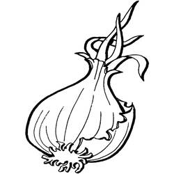 Dibujo para colorear: Cebolla (Comida y Nutrición) #186590 - Dibujos para Colorear e Imprimir Gratis