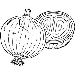 Dibujo para colorear: Cebolla (Comida y Nutrición) #186591 - Dibujos para Colorear e Imprimir Gratis