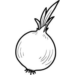 Dibujo para colorear: Cebolla (Comida y Nutrición) #186593 - Dibujos para Colorear e Imprimir Gratis