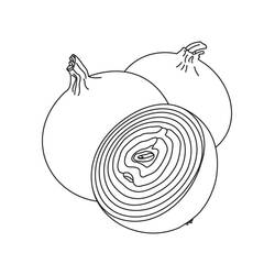 Dibujo para colorear: Cebolla (Comida y Nutrición) #186594 - Dibujos para Colorear e Imprimir Gratis
