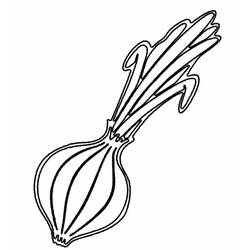 Dibujo para colorear: Cebolla (Comida y Nutrición) #186595 - Dibujos para Colorear e Imprimir Gratis