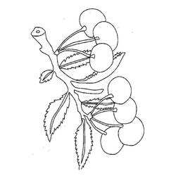 Dibujos para colorear: Cereza - Dibujos para Colorear e Imprimir Gratis