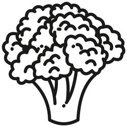 Dibujo para colorear: Coliflor (Comida y Nutrición) #207500 - Dibujos para Colorear e Imprimir Gratis