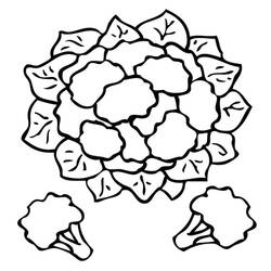 Dibujos para colorear: Coliflor - Dibujos para Colorear e Imprimir Gratis