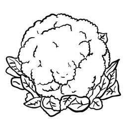 Dibujo para colorear: Coliflor (Comida y Nutrición) #207502 - Dibujos para Colorear e Imprimir Gratis