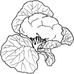 Dibujo para colorear: Coliflor (Comida y Nutrición) #207503 - Dibujos para Colorear e Imprimir Gratis