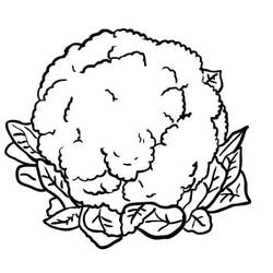 Dibujo para colorear: Coliflor (Comida y Nutrición) #207504 - Dibujos para Colorear e Imprimir Gratis