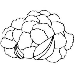 Dibujo para colorear: Coliflor (Comida y Nutrición) #207505 - Dibujos para Colorear e Imprimir Gratis