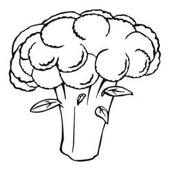 Dibujo para colorear: Coliflor (Comida y Nutrición) #207506 - Dibujos para Colorear e Imprimir Gratis