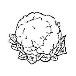 Dibujo para colorear: Coliflor (Comida y Nutrición) #207510 - Dibujos para Colorear e Imprimir Gratis