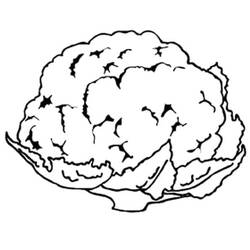 Dibujo para colorear: Coliflor (Comida y Nutrición) #207511 - Dibujos para Colorear e Imprimir Gratis