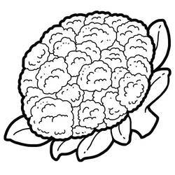 Dibujo para colorear: Coliflor (Comida y Nutrición) #207513 - Dibujos para Colorear e Imprimir Gratis