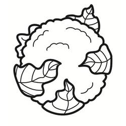 Dibujo para colorear: Coliflor (Comida y Nutrición) #207518 - Dibujos para Colorear e Imprimir Gratis