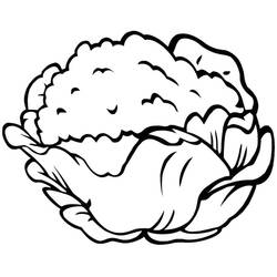 Dibujo para colorear: Coliflor (Comida y Nutrición) #207519 - Dibujos para Colorear e Imprimir Gratis