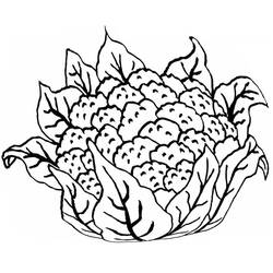 Dibujo para colorear: Coliflor (Comida y Nutrición) #207522 - Dibujos para Colorear e Imprimir Gratis