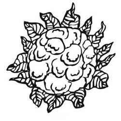 Dibujo para colorear: Coliflor (Comida y Nutrición) #207525 - Dibujos para Colorear e Imprimir Gratis