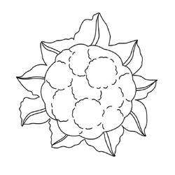 Dibujo para colorear: Coliflor (Comida y Nutrición) #207526 - Dibujos para Colorear e Imprimir Gratis