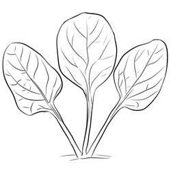 Dibujo para colorear: Espinaca (Comida y Nutrición) #187660 - Dibujos para Colorear e Imprimir Gratis