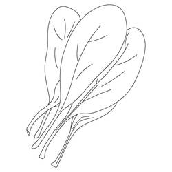 Dibujo para colorear: Espinaca (Comida y Nutrición) #187670 - Dibujos para Colorear e Imprimir Gratis