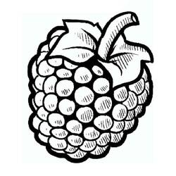 Dibujos para colorear: Frambuesa - Dibujos para Colorear e Imprimir Gratis