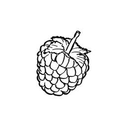 Dibujo para colorear: Frambuesa (Comida y Nutrición) #214008 - Dibujos para Colorear e Imprimir Gratis
