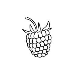 Dibujo para colorear: Frambuesa (Comida y Nutrición) #214011 - Dibujos para Colorear e Imprimir Gratis