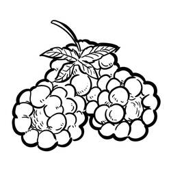 Dibujo para colorear: Frambuesa (Comida y Nutrición) #214012 - Dibujos para Colorear e Imprimir Gratis