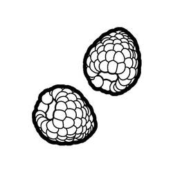 Dibujo para colorear: Frambuesa (Comida y Nutrición) #214013 - Dibujos para Colorear e Imprimir Gratis