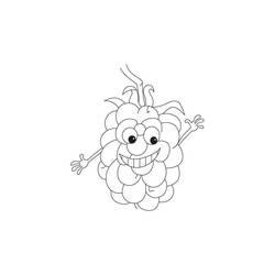 Dibujo para colorear: Frambuesa (Comida y Nutrición) #214015 - Dibujos para Colorear e Imprimir Gratis