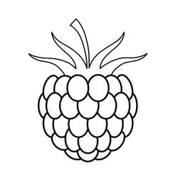Dibujo para colorear: Frambuesa (Comida y Nutrición) #214017 - Dibujos para Colorear e Imprimir Gratis