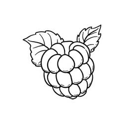 Dibujo para colorear: Frambuesa (Comida y Nutrición) #214021 - Dibujos para Colorear e Imprimir Gratis
