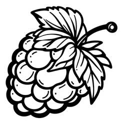 Dibujo para colorear: Frambuesa (Comida y Nutrición) #214022 - Dibujos para Colorear e Imprimir Gratis