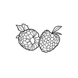Dibujo para colorear: Frambuesa (Comida y Nutrición) #214032 - Dibujos para Colorear e Imprimir Gratis