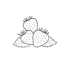 Dibujo para colorear: Fresa (Comida y Nutrición) #186960 - Dibujos para Colorear e Imprimir Gratis