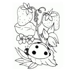 Dibujo para colorear: Fresa (Comida y Nutrición) #186975 - Dibujos para Colorear e Imprimir Gratis