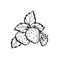 Dibujo para colorear: Fresa (Comida y Nutrición) #186977 - Dibujos para Colorear e Imprimir Gratis