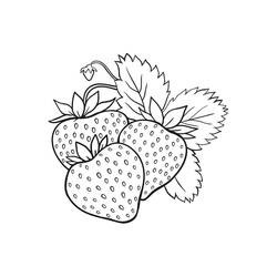 Dibujo para colorear: Fresa (Comida y Nutrición) #186982 - Dibujos para Colorear e Imprimir Gratis