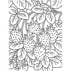 Dibujo para colorear: Fresa (Comida y Nutrición) #186985 - Dibujos para Colorear e Imprimir Gratis