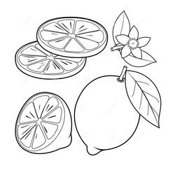 Dibujo para colorear: Limón (Comida y Nutrición) #185012 - Dibujos para Colorear e Imprimir Gratis