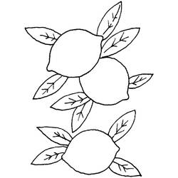 Dibujo para colorear: Limón (Comida y Nutrición) #185016 - Dibujos para Colorear e Imprimir Gratis