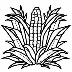 Dibujo para colorear: Maíz (Comida y Nutrición) #207441 - Dibujos para Colorear e Imprimir Gratis