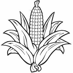 Dibujo para colorear: Maíz (Comida y Nutrición) #207442 - Dibujos para Colorear e Imprimir Gratis